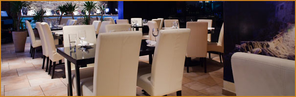 Vlora Restaurant Dining Room – Mediterranean, Vegetarian and Vegan Restaurant Boston